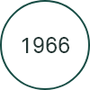 Icona 1966