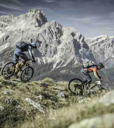 Two mountain bikers