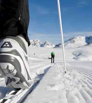 Two people cross-country skiing